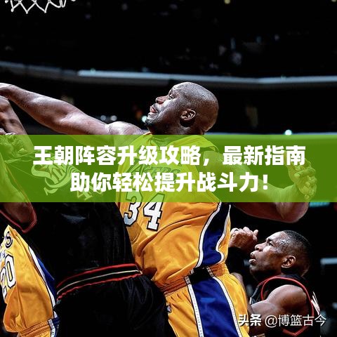 王朝陣容升級攻略，最新指南助你輕松提升戰(zhàn)斗力！