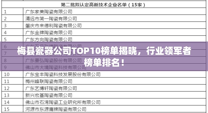 梅縣瓷器公司TOP10榜單揭曉，行業(yè)領(lǐng)軍者榜單排名！