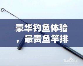 豪華釣魚體驗，最貴魚竿排行榜前十名揭曉