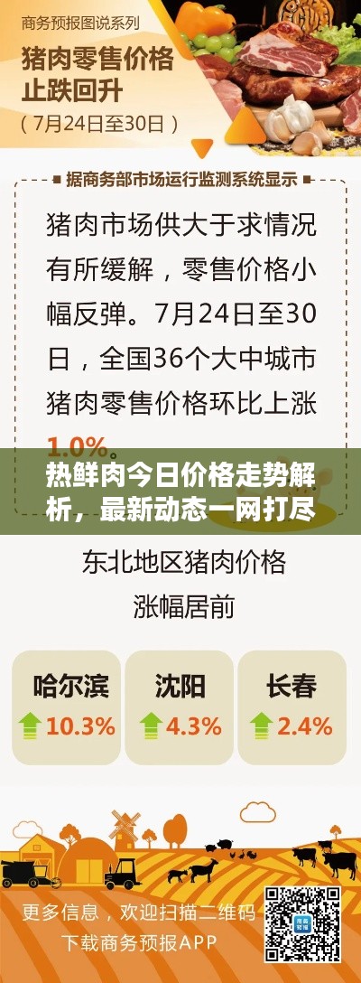 熱鮮肉今日價格走勢解析，最新動態(tài)一網(wǎng)打盡！
