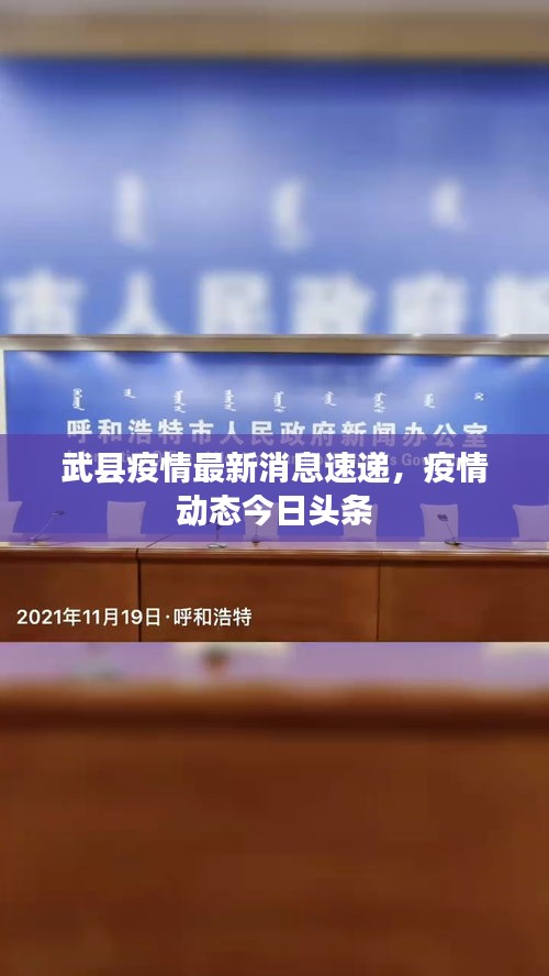 武縣疫情最新消息速遞，疫情動態(tài)今日頭條