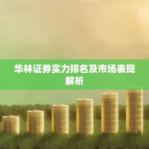 華林證券實力排名及市場表現(xiàn)解析