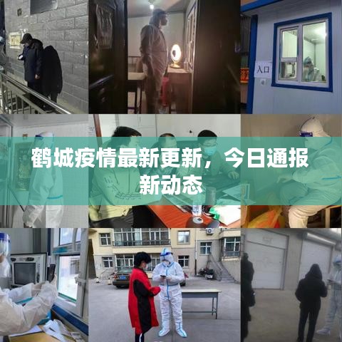 鶴城疫情最新更新，今日通報新動態(tài)