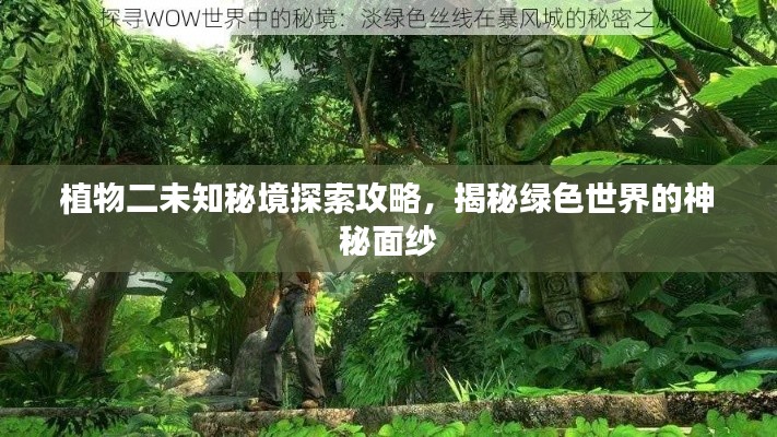 植物二未知秘境探索攻略，揭秘綠色世界的神秘面紗