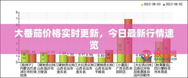 大番茄價格實時更新，今日最新行情速覽