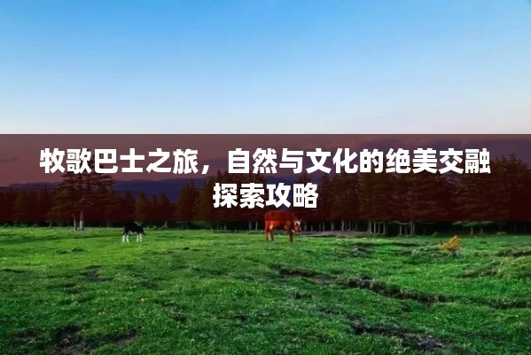 牧歌巴士之旅，自然與文化的絕美交融探索攻略