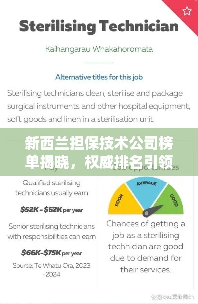 新西蘭擔(dān)保技術(shù)公司榜單揭曉，權(quán)威排名引領(lǐng)行業(yè)風(fēng)向標(biāo)