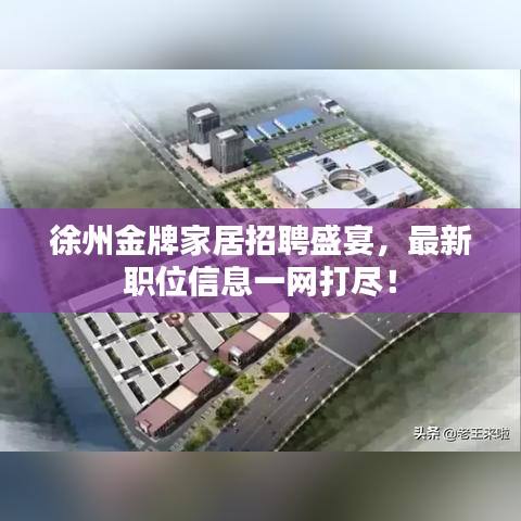 徐州金牌家居招聘盛宴，最新職位信息一網(wǎng)打盡！