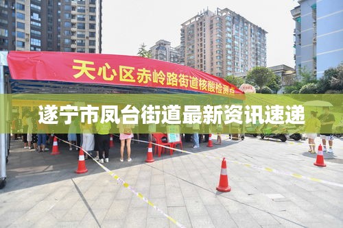 遂寧市鳳臺街道最新資訊速遞