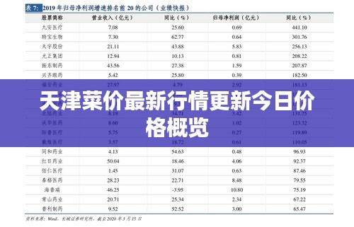 天津菜價最新行情更新今日價格概覽
