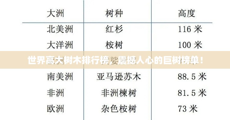 世界高大樹木排行榜，震撼人心的巨樹榜單！