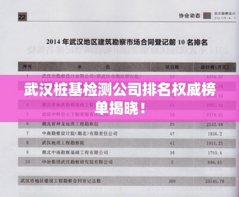 武漢樁基檢測公司排名權(quán)威榜單揭曉！