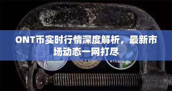 ONT幣實(shí)時(shí)行情深度解析，最新市場(chǎng)動(dòng)態(tài)一網(wǎng)打盡