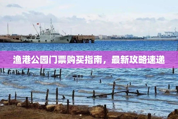 漁港公園門票購買指南，最新攻略速遞
