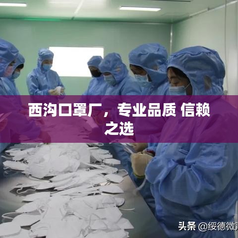 西溝口罩廠，專業(yè)品質(zhì) 信賴之選
