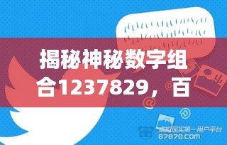 揭秘神秘?cái)?shù)字組合1237829，百度背后的故事探秘