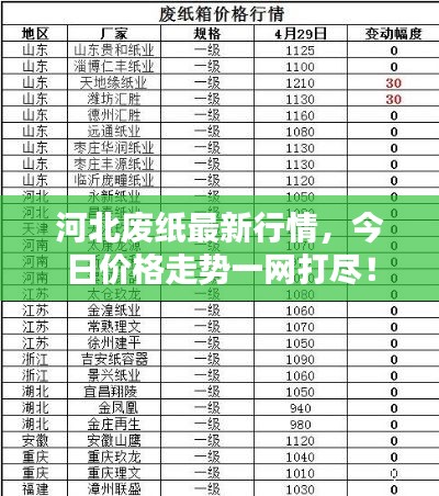 河北廢紙最新行情，今日價格走勢一網(wǎng)打盡！