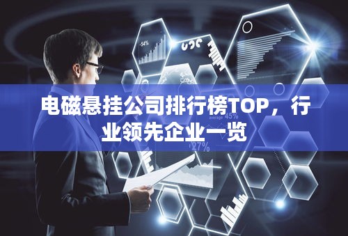 電磁懸掛公司排行榜TOP，行業(yè)領先企業(yè)一覽
