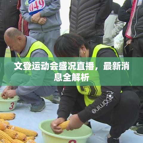 文登運(yùn)動會盛況直播，最新消息全解析