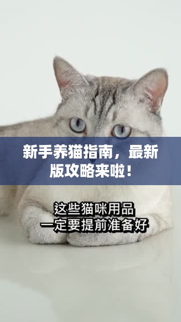 奔走如飛 第2頁(yè)