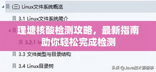 理塘核酸檢測(cè)攻略，最新指南助你輕松完成檢測(cè)