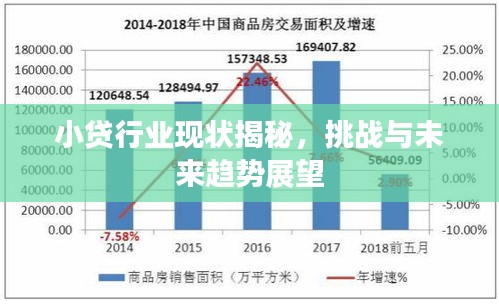 小貸行業(yè)現(xiàn)狀揭秘，挑戰(zhàn)與未來趨勢(shì)展望