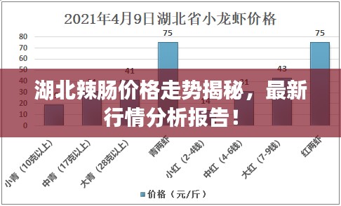 湖北辣腸價格走勢揭秘，最新行情分析報告！