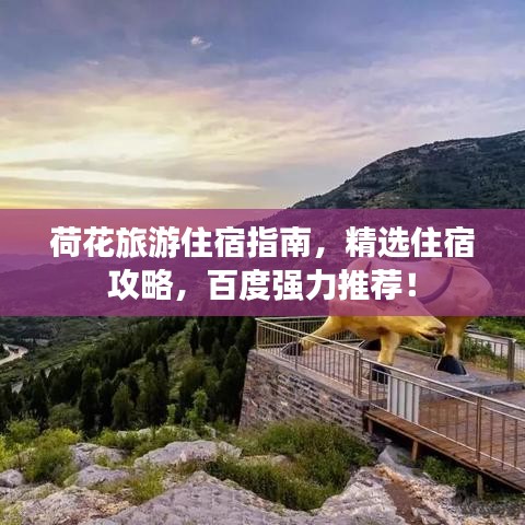荷花旅游住宿指南，精選住宿攻略，百度強(qiáng)力推薦！