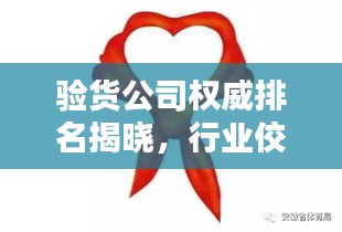 驗(yàn)貨公司權(quán)威排名揭曉，行業(yè)佼佼者一覽無(wú)余