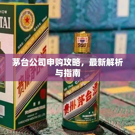 茅臺(tái)公司申購攻略，最新解析與指南