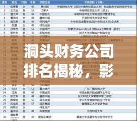 洞頭財(cái)務(wù)公司排名揭秘，影響力深度剖析