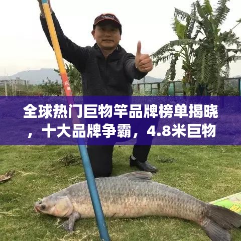 全球熱門巨物竿品牌榜單揭曉，十大品牌爭霸，4.8米巨物竿榮登前十名