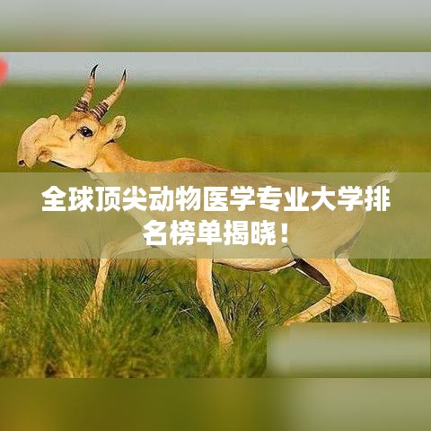全球頂尖動(dòng)物醫(yī)學(xué)專業(yè)大學(xué)排名榜單揭曉！