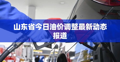 山東省今日油價(jià)調(diào)整最新動(dòng)態(tài)報(bào)道