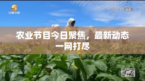 農(nóng)業(yè)節(jié)目今日聚焦，最新動態(tài)一網(wǎng)打盡