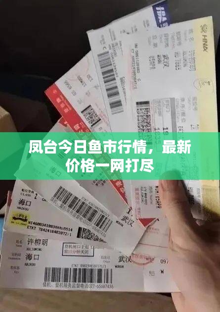 鳳臺(tái)今日魚(yú)市行情，最新價(jià)格一網(wǎng)打盡