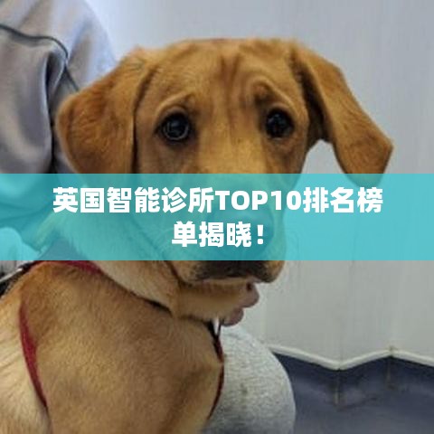 一知半解 第2頁(yè)