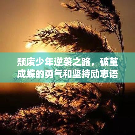 頹廢少年逆襲之路，破繭成蝶的勇氣和堅(jiān)持勵(lì)志語(yǔ)錄