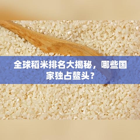 全球稻米排名大揭秘，哪些國(guó)家獨(dú)占鰲頭？