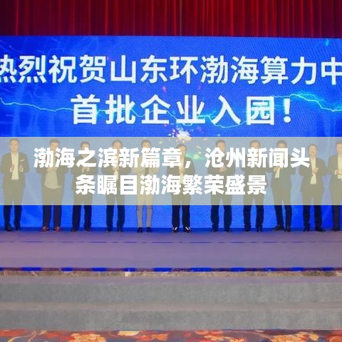 渤海之濱新篇章，滄州新聞頭條矚目渤海繁榮盛景