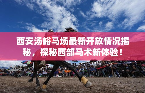 西安湯峪馬場最新開放情況揭秘，探秘西部馬術(shù)新體驗！