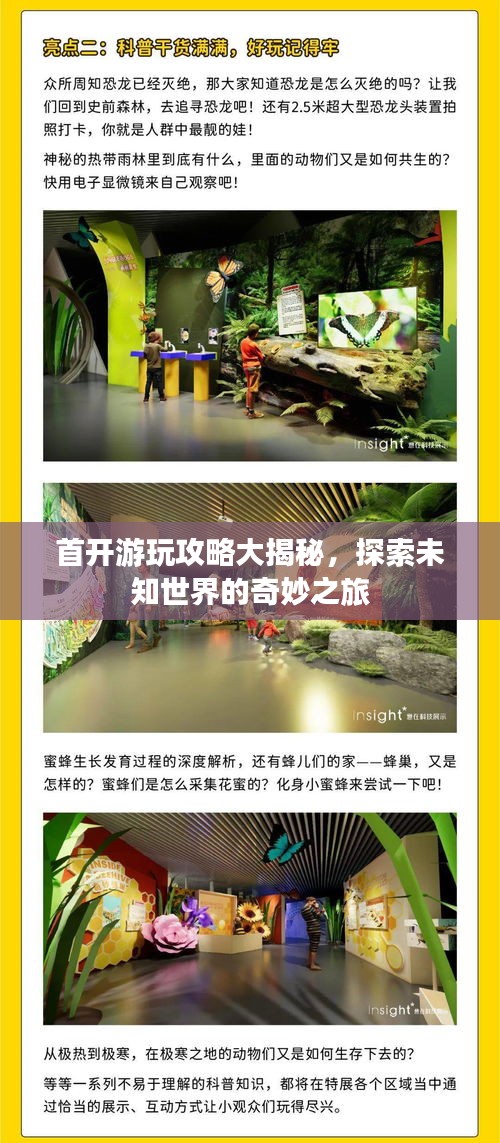 首開(kāi)游玩攻略大揭秘，探索未知世界的奇妙之旅