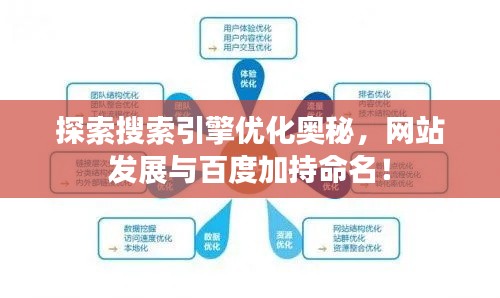 探索搜索引擎優(yōu)化奧秘，網站發(fā)展與百度加持命名！