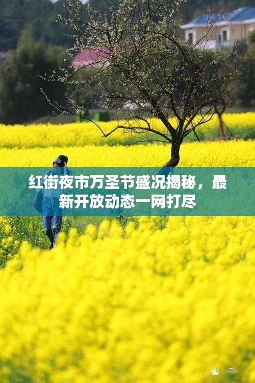 紅街夜市萬(wàn)圣節(jié)盛況揭秘，最新開(kāi)放動(dòng)態(tài)一網(wǎng)打盡