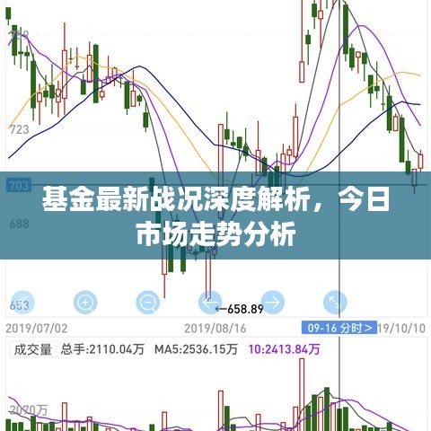 基金最新戰(zhàn)況深度解析，今日市場走勢分析