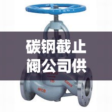 碳鋼截止閥公司供應排名榜單揭曉！