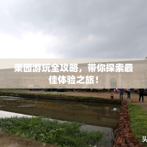 栗園游玩全攻略，帶你探索最佳體驗(yàn)之旅！