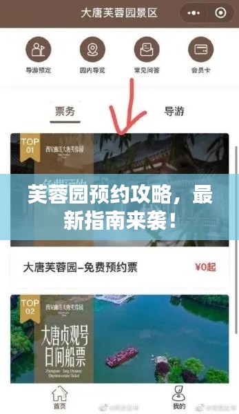 芙蓉園預(yù)約攻略，最新指南來襲！