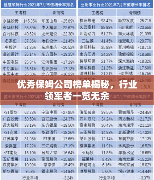 優(yōu)秀保姆公司榜單揭秘，行業(yè)領(lǐng)軍者一覽無余