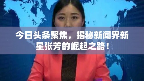 今日頭條聚焦，揭秘新聞界新星張芳的崛起之路！